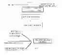 Fig. 11 - MULTI-USE FUNCTIONAL COTTON, AND METHOD FOR MANUFACTURING SAME