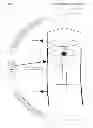 Fig. 08 - Electrical toothbrush