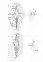 Fig. 02 - Two-way fastener and method