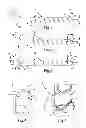 Fig. 02 - Fastener, installation tool and related method of use
