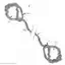 Fig. 01 - Loop rope assembly