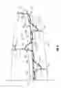 Fig. 07 - Loop rope assembly