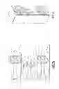 Fig. 06 - Gas turbine engine combustor with integrated combustor vane