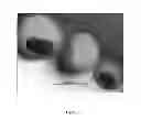 Fig. 07 - POLYIMIDE MEMBRANES AND METHOD OF PRODUCTION