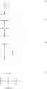 Fig. 02 - MEMBRANE DERIVED FROM POLYETHER- AND SILICEOUS FILLER-CONTAINING SILICONE COMPOSITION
