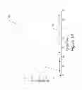 Fig. 02 - Perfluoropolyethers as ink additives
