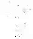 Fig. 04 - Assay wick with analyte fluid sufficiency indicator