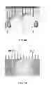 Fig. 07 - Method and compositions for producing hydrogel capsules coated for low permeability and physical integrity