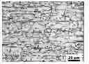 Fig. 01 - Process for making cold-rolled dual phase steel sheet