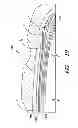Fig. 11 - METHOD AND TIRE FOR IMPROVED UNIFORMITY AND ENDURANCE OF AGGRESSIVE TREAD DESIGNS