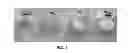 Fig. 02 - Wellbore servicing methods and compositions comprising degradable polymers