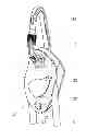 Fig. 02 - Safety device on a rope with blocking under load