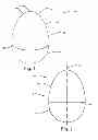 Fig. 02 - OVOID CONTAINER FOR HOLDING A TRANSACTION CARD