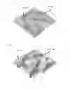 Fig. 03 - Method for producing ceramic composite for light conversion