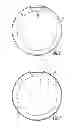 Fig. 04 - Hanging condiment container holder