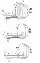 Fig. 09 - Hanging condiment container holder