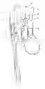 Fig. 01 - Multi-station liquid dispensing apparatus with automatic selection of proper flow rate