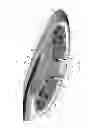 Fig. 12 - Shower device
