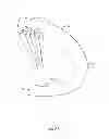 Fig. 08 - DOOR ENTRY HEAD GUARD