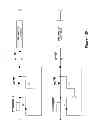 Fig. 26 - Method and apparatus for an interlocking control device