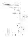 Fig. 08 - Interpreting Multiplexed Tandem Mass Spectra Using Local Spectral Libraries
