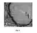 Fig. 06 - COBALT- AND MOLYBDENUM-CONTAINING MIXED OXIDE CATALYST, AND PRODUCTION AND USE THEREOF AS WATER GAS SHIFT CATALYST