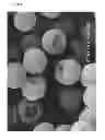 Fig. 06 - Non-spherical resin particles, manufacturing method thereof, and use thereof