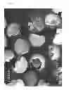 Fig. 08 - Non-spherical resin particles, manufacturing method thereof, and use thereof