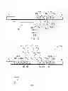 Fig. 06 - Photodetection