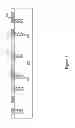 Fig. 02 - Method for forming package-on-package structure