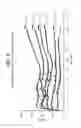 Fig. 08 - Polyethylene useful for producing film and molded articles in a process which uses solid state stretching