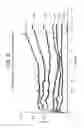Fig. 09 - Polyethylene useful for producing film and molded articles in a process which uses solid state stretching