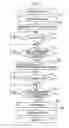 Fig. 06 - Image reading apparatus having conveyance rollers conveying original sheet