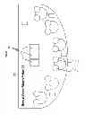 Fig. 09 - CARD DECK AND METHOD OF PLAYING CARD GAMES WITH SAME