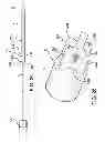 Fig. 22 - Flexible Food Skewer System