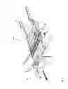 Fig. 04 - Frame structure for a motor vehicle, rear frame structure, and vehicle body