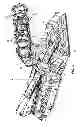 Fig. 04 - Advancing longwall system for surface mining