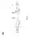 Fig. 06 - Encapsulation of DALI Commands in Wireless Networks