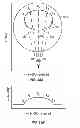 Fig. 28 - Charged particle accelerator magnet apparatus and method of use thereof