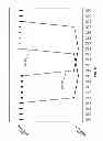 Fig. 07 - Measuring metal line spacing in semiconductor devices