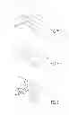 Fig. 06 - Haptic system with localized response