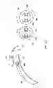 Fig. 30 - User gesture input to wearable electronic device involving outward-facing sensor of device