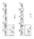 Fig. 55 - User gesture input to wearable electronic device involving outward-facing sensor of device