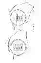 Fig. 95 - User gesture input to wearable electronic device involving outward-facing sensor of device