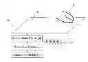 Fig. 01 - Method and apparatus for providing haptic cues for guidance and alignment with electrostatic friction