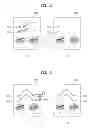 Fig. 29 - Multimedia device for having touch sensor and method for controlling the same