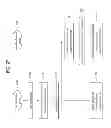 Fig. 30 - Multimedia device for having touch sensor and method for controlling the same
