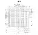 Fig. 04 - Electrostatic capacitive type touch screen panel
