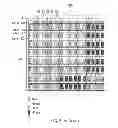 Fig. 06 - Driving controller, display panel device, and driving method capable of reducing crosstalk