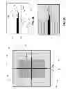 Fig. 03 - Printhead alignment evaluation